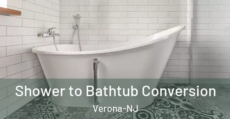 inner Bathroom imggen Shower to Bathtub Conversion Verona-NJ