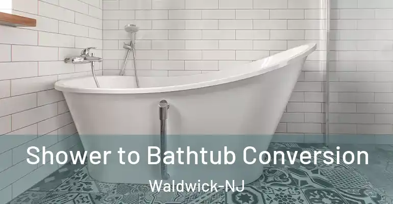 inner Bathroom imggen Shower to Bathtub Conversion Waldwick-NJ