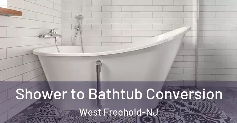 inner Bathroom imggen Shower to Bathtub Conversion West Freehold-NJ