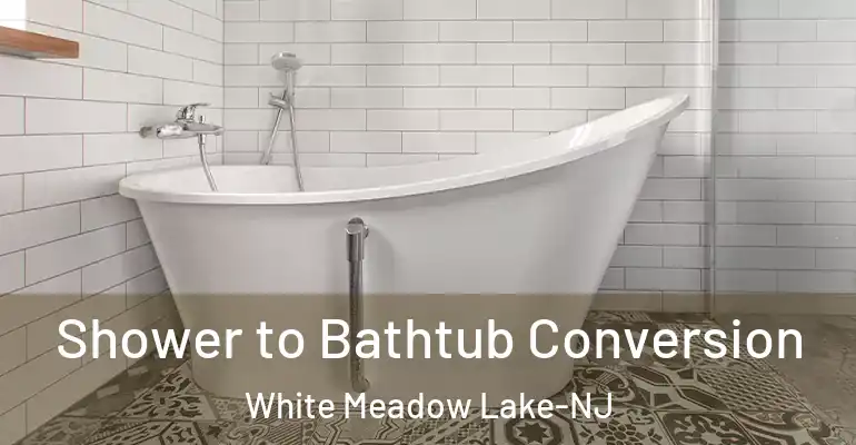 inner Bathroom imggen Shower to Bathtub Conversion White Meadow Lake-NJ