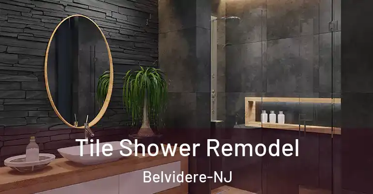 inner Bathroom imggen Tile Shower Remodel Belvidere-NJ