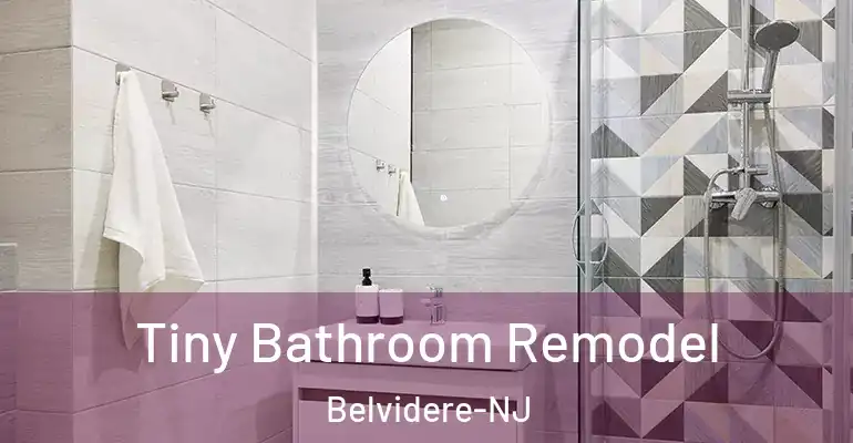inner Bathroom imggen Tiny Bathroom Remodel Belvidere-NJ