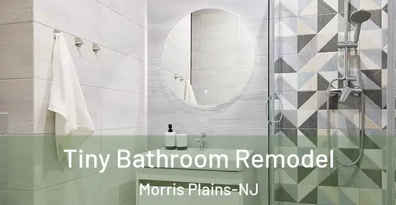 inner Bathroom imggen Tiny Bathroom Remodel Morris Plains-NJ