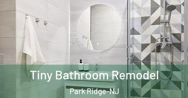 inner Bathroom imggen Tiny Bathroom Remodel Park Ridge-NJ
