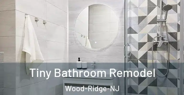 inner Bathroom imggen Tiny Bathroom Remodel Wood-Ridge-NJ