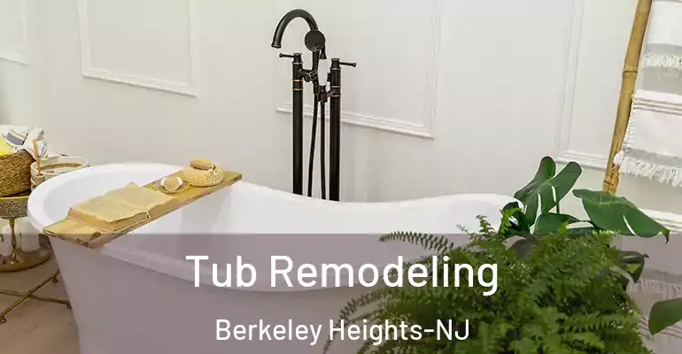 inner Bathroom imggen Tub Remodeling Berkeley Heights-NJ