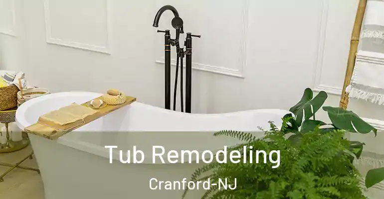 inner Bathroom imggen Tub Remodeling Cranford-NJ