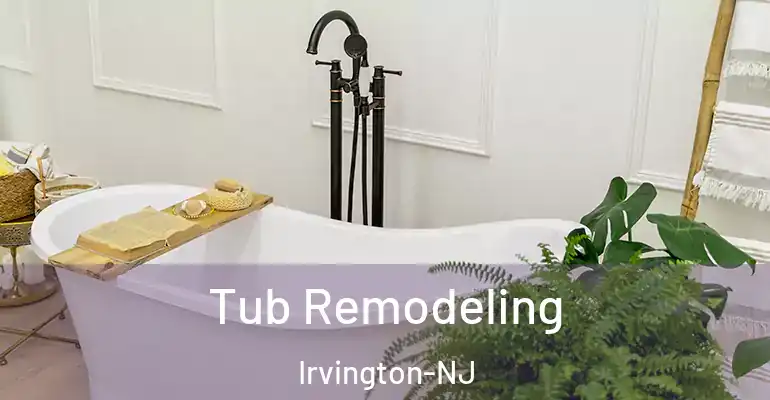 inner Bathroom imggen Tub Remodeling Irvington-NJ