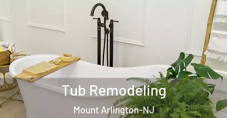 inner Bathroom imggen Tub Remodeling Mount Arlington-NJ
