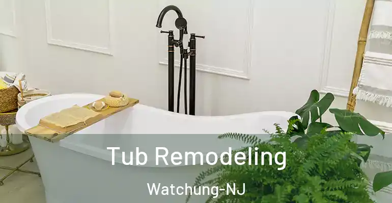 inner Bathroom imggen Tub Remodeling Watchung-NJ