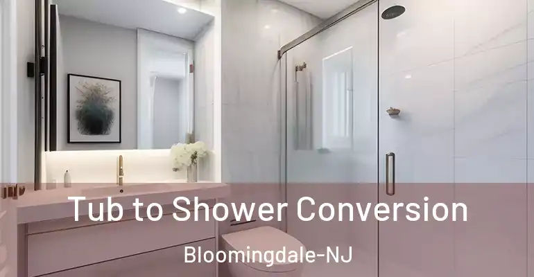 inner Bathroom imggen Tub to Shower Conversion Bloomingdale-NJ
