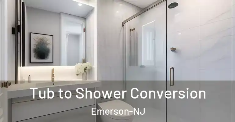 inner Bathroom imggen Tub to Shower Conversion Emerson-NJ