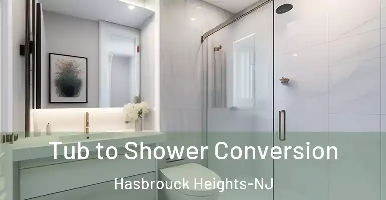 inner Bathroom imggen Tub to Shower Conversion Hasbrouck Heights-NJ