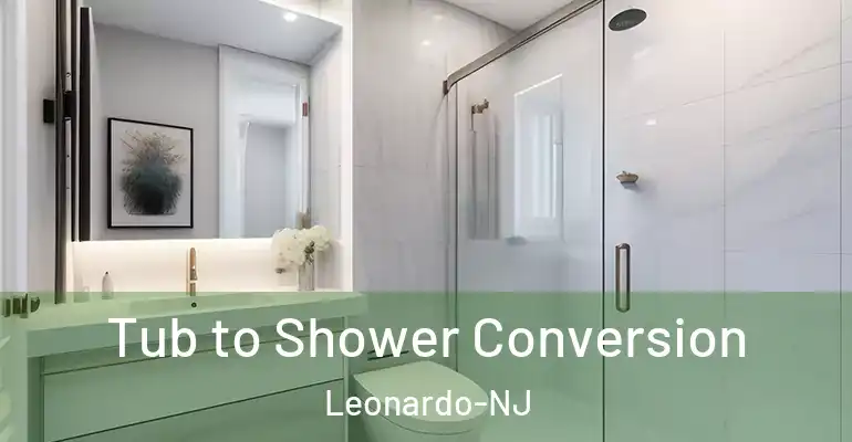 inner Bathroom imggen Tub to Shower Conversion Leonardo-NJ