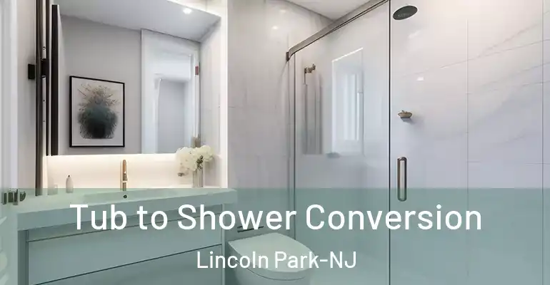 inner Bathroom imggen Tub to Shower Conversion Lincoln Park-NJ