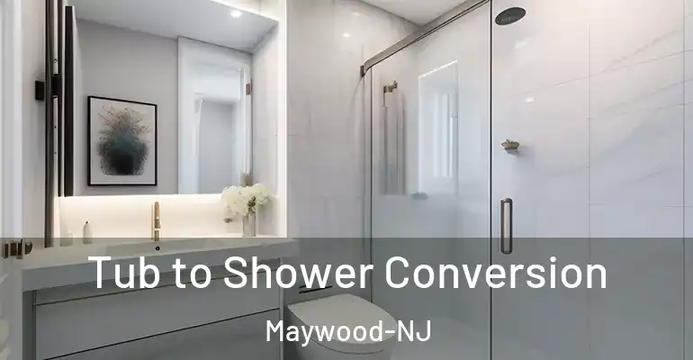 inner Bathroom imggen Tub to Shower Conversion Maywood-NJ