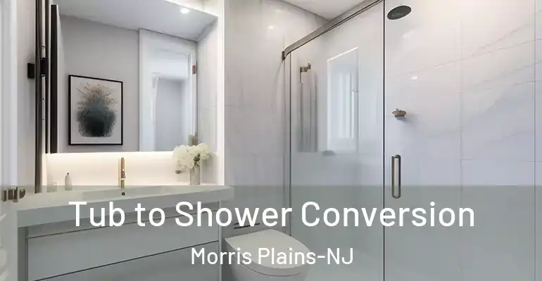 inner Bathroom imggen Tub to Shower Conversion Morris Plains-NJ