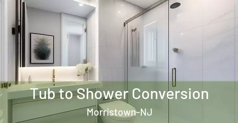 inner Bathroom imggen Tub to Shower Conversion Morristown-NJ