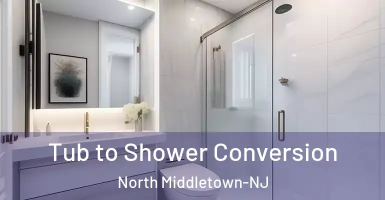 inner Bathroom imggen Tub to Shower Conversion North Middletown-NJ