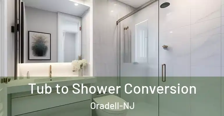 inner Bathroom imggen Tub to Shower Conversion Oradell-NJ