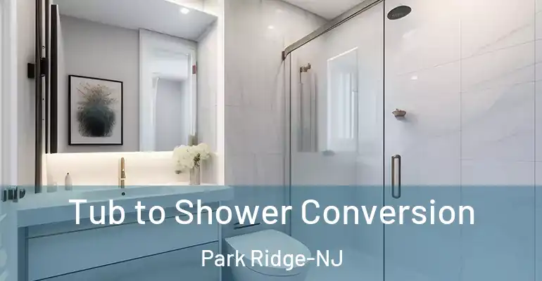inner Bathroom imggen Tub to Shower Conversion Park Ridge-NJ