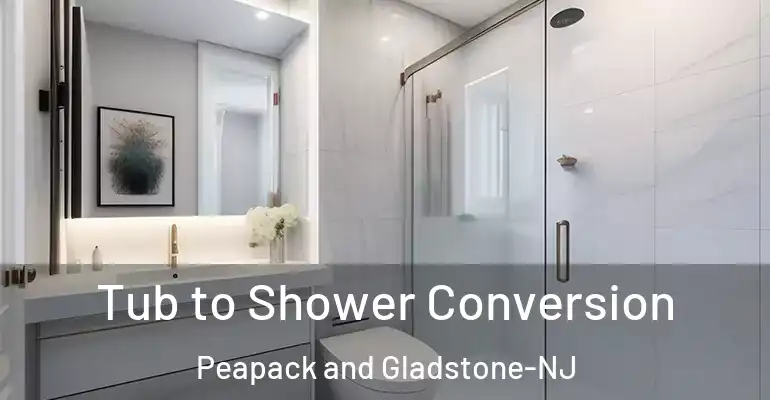 inner Bathroom imggen Tub to Shower Conversion Peapack and Gladstone-NJ