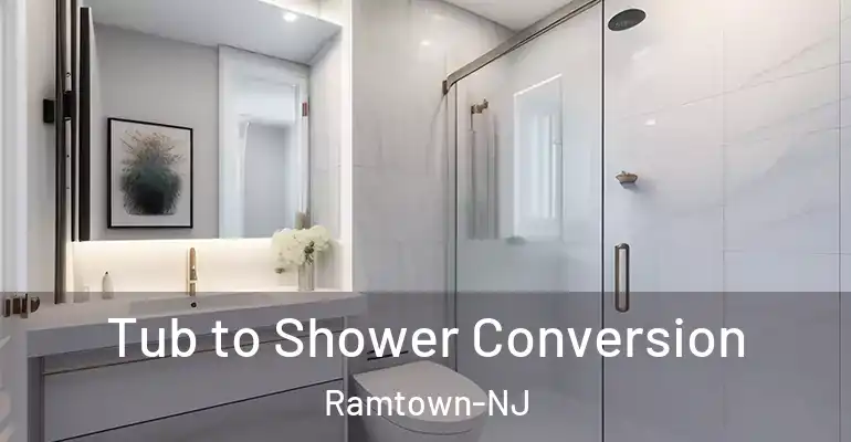 inner Bathroom imggen Tub to Shower Conversion Ramtown-NJ