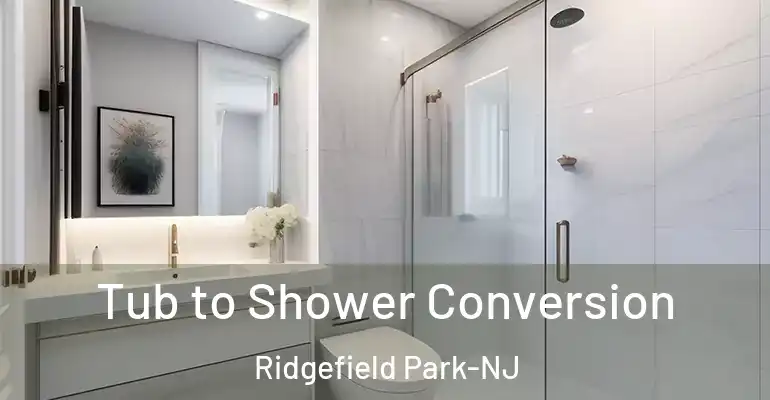 inner Bathroom imggen Tub to Shower Conversion Ridgefield Park-NJ