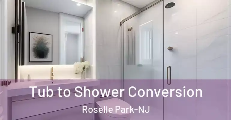 inner Bathroom imggen Tub to Shower Conversion Roselle Park-NJ
