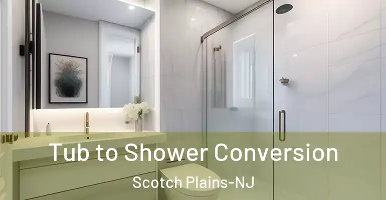 inner Bathroom imggen Tub to Shower Conversion Scotch Plains-NJ