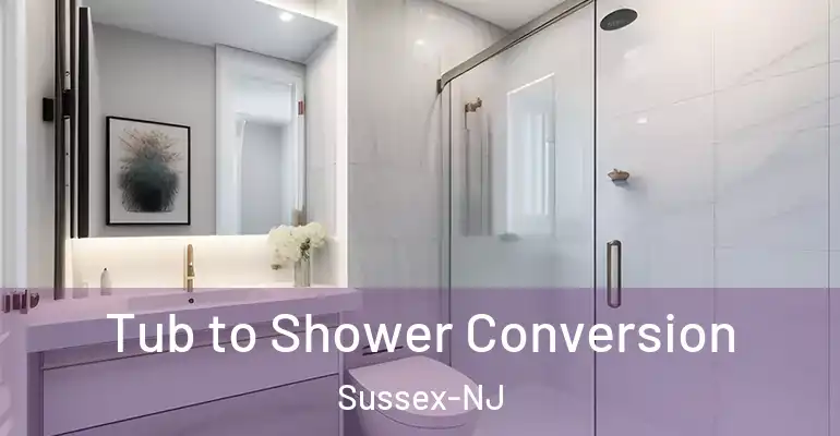 inner Bathroom imggen Tub to Shower Conversion Sussex-NJ
