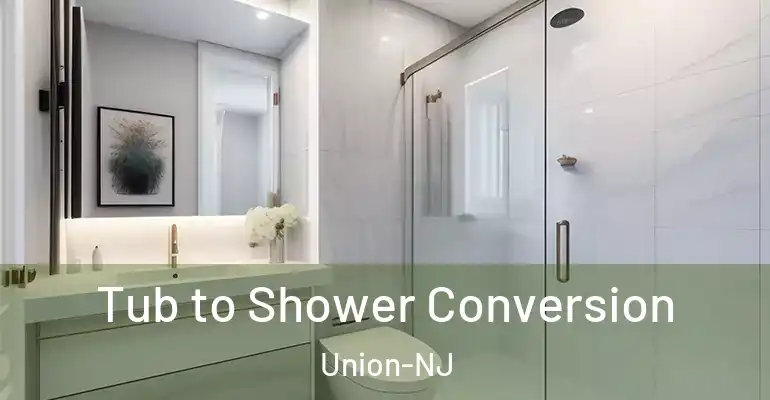 inner Bathroom imggen Tub to Shower Conversion Union-NJ
