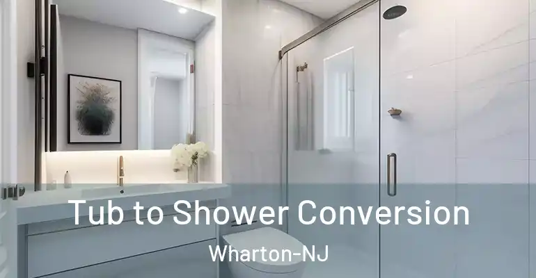 inner Bathroom imggen Tub to Shower Conversion Wharton-NJ