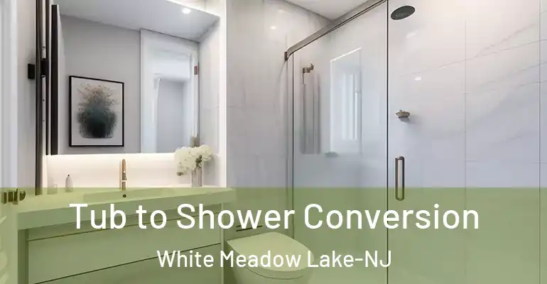 inner Bathroom imggen Tub to Shower Conversion White Meadow Lake-NJ