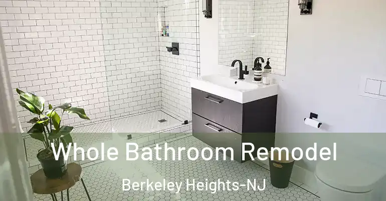 inner Bathroom imggen Whole Bathroom Remodel Berkeley Heights-NJ