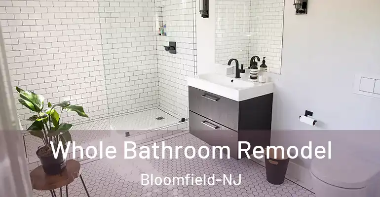inner Bathroom imggen Whole Bathroom Remodel Bloomfield-NJ