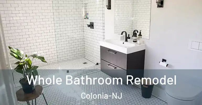 inner Bathroom imggen Whole Bathroom Remodel Colonia-NJ