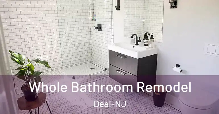 inner Bathroom imggen Whole Bathroom Remodel Deal-NJ