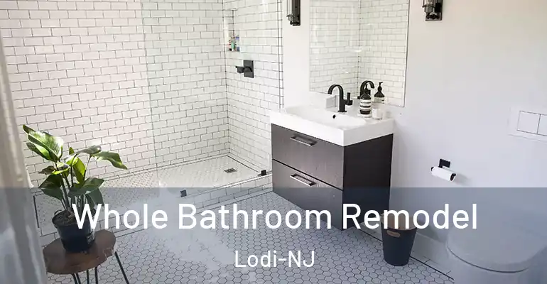 inner Bathroom imggen Whole Bathroom Remodel Lodi-NJ