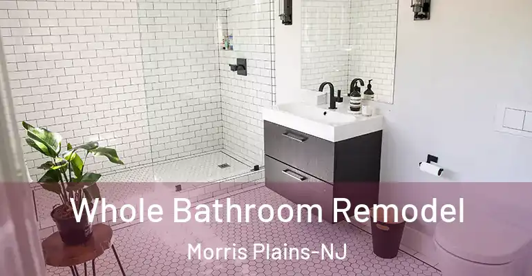 inner Bathroom imggen Whole Bathroom Remodel Morris Plains-NJ