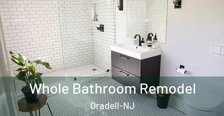 inner Bathroom imggen Whole Bathroom Remodel Oradell-NJ