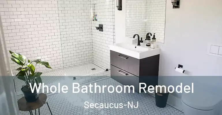 inner Bathroom imggen Whole Bathroom Remodel Secaucus-NJ