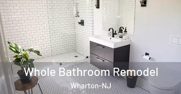 inner Bathroom imggen Whole Bathroom Remodel Wharton-NJ